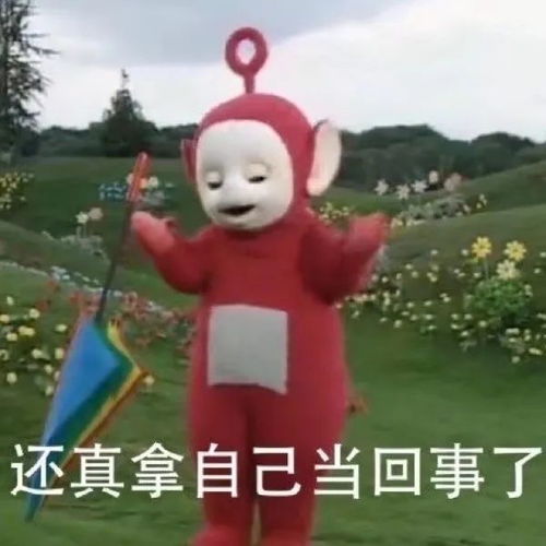  我的爱情呢