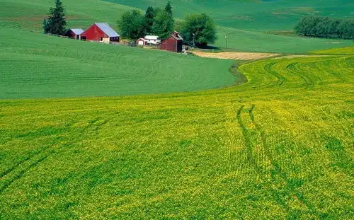 农村户口迁入城镇,承包地归还有补偿,这4种情况补偿就没了 农村户口迁入城镇,承包地归还有补偿,这4种情况补偿就没了