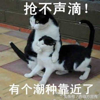  最全的赤峰方言表情包,36个赤峰方言表情包,外地人估计看不懂