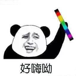  宠物跑进主人怀里的视频哈哈哈哈哈...