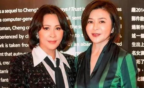 关之琳年轻时到底有多美看到郭富城的表情,早已表明了一切 关之琳年轻时到底有多美看到郭富城的表情,早已表明了一切