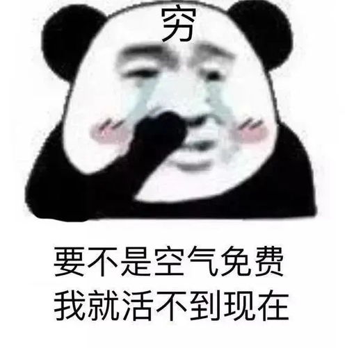  沙雕表情包动图年纪太大,不好骗了