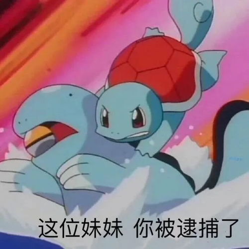  分享一下学霸们的爱情,更是别有一番韵味,这些糖我吃出酸味了