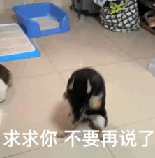  有过注册会计师的吗,大家考的时候备考了多久,怎样备考呢