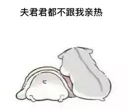  可爱仓鼠夫妇表情包