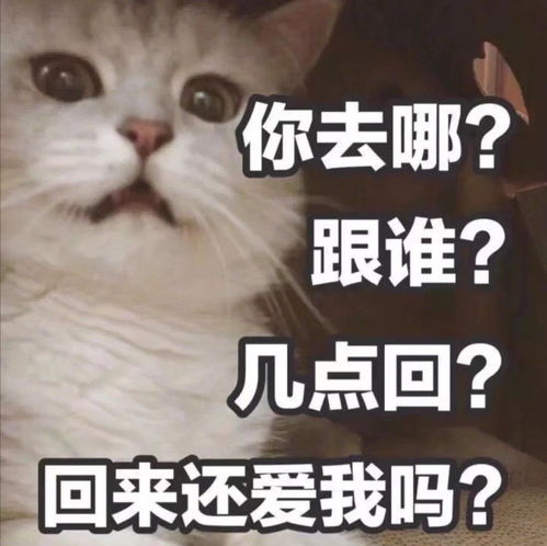  有哪些可爱的沙雕句子