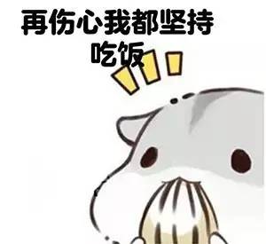  吃货我特别羡慕这种人搜狐汽车搜狐网