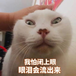  听说,大学的你想做家教