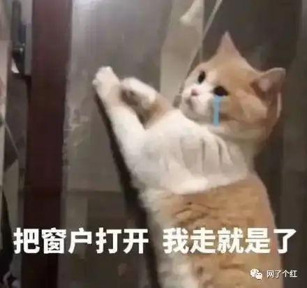 现在小朋友的语言密码有多难懂我突然看不懂中文了 现在小朋友的语言密码有多难懂我突然看不懂中文了