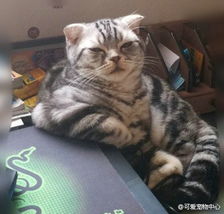 美丑有命,胖瘦在天,就靠这句话活着了