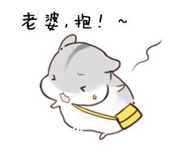  小仓鼠表情包说了多少次老婆要听话