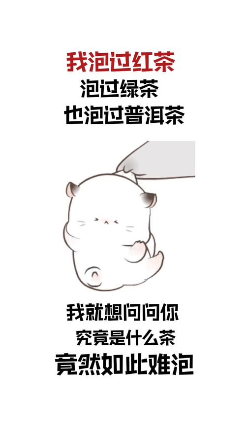  表情包撩妹表情包追女生