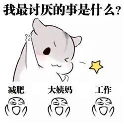  有没有小仓鼠ham的表情包