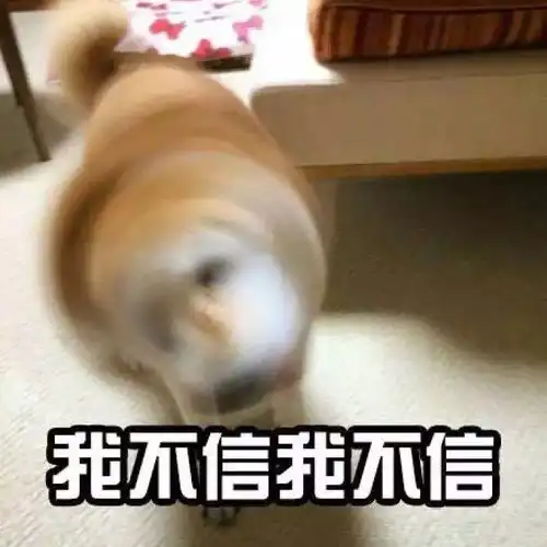 顶着这样一张脸,总有人问我混哪里 顶着这样一张脸,总有人问我混哪里