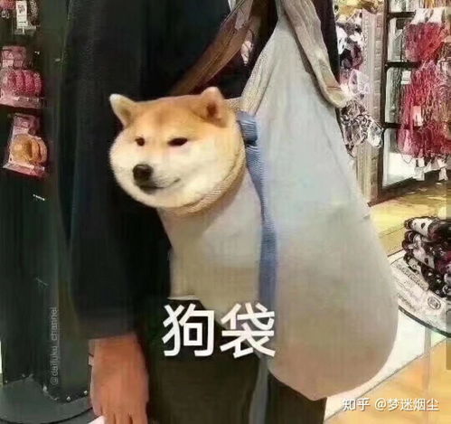  如何学好医学英语