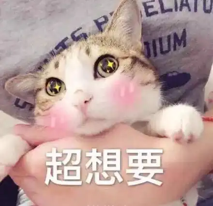 hm彩妆品质堪比mac,价格白菜,最值得带回家的是这些... hm彩妆品质堪比mac,价格白菜,最值得带回家的是这些...