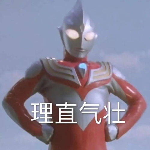 跨年去哪玩这些回答扎心了 跨年去哪玩这些回答扎心了