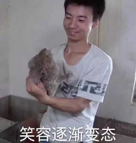 好兄弟表情包男女你好漂