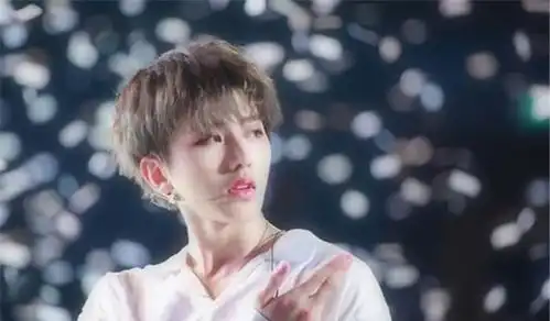 蔡徐坤发型表情包鬼畜难