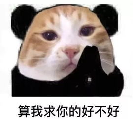  开四停四再见贵阳尾号限行新规发布,9月23日零时起实施