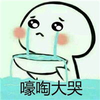  卖萌包子脸手绘流泪表情图片大全初恋最美又最痛