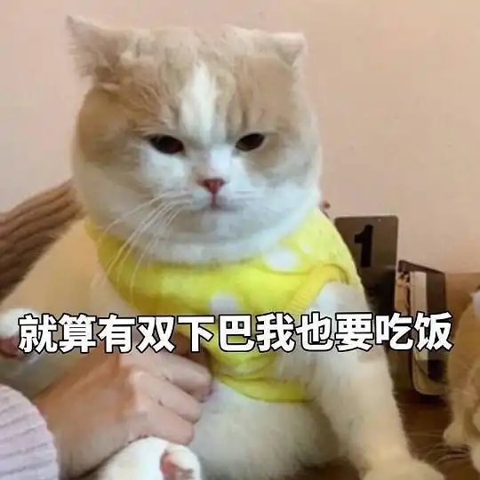 猫咪给我吃一口表情包