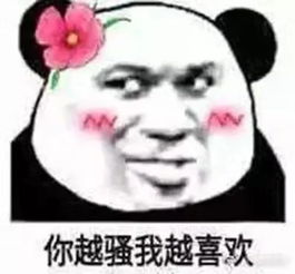  盘点那些沙雕表情包
