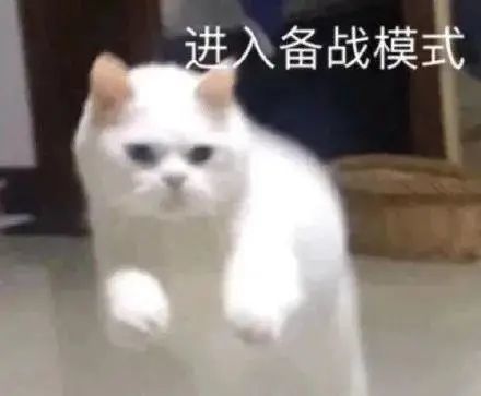  表情包这么胖了还吃