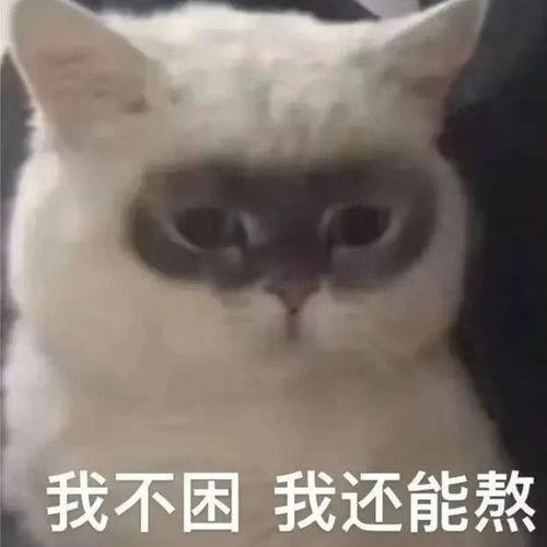  外卖小哥能有多离谱点开前没想到会这么好笑