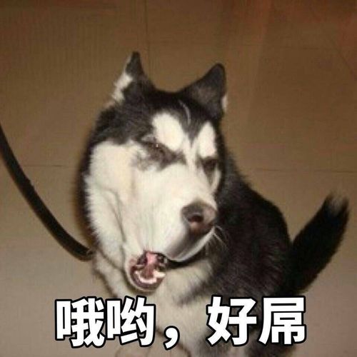  有哪些自带嘲讽buff的头像