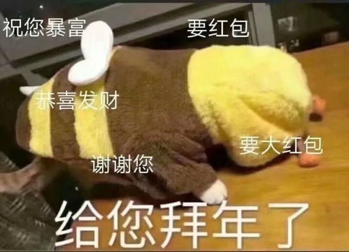  哈哈哈哈终于靠着这些网友活到了2020年
