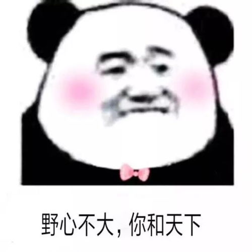  每日表情聊天斗图专用