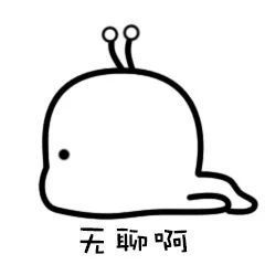  小维维旅行记