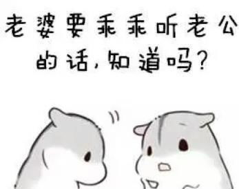  哄老婆表情包老婆大人对不起好喜欢老婆我老婆超级可爱