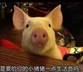  人到中年,高校教师的21个特征