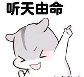 卖萌表情包动漫胖胖