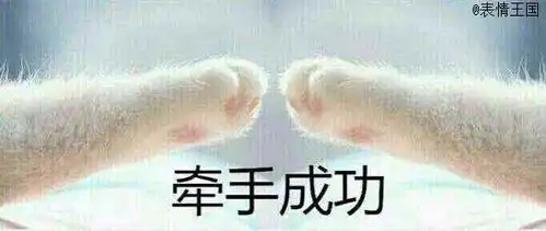  有一组表情包是一对可爱的猫爪,上面写着牵手失败的等,谁有都发给我