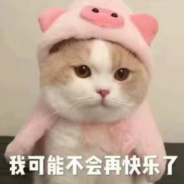  男票吵架不理人甩过这张表情包我一点不想你,一点半再想你