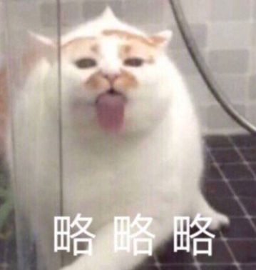  小伙儿上门帮女友喂猫,半天找不到猫的他却在门后看到倒立生物,猫泥嚎,我是马桶刷猫咪花猫网易订阅