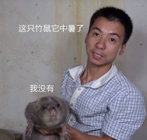  华农兄弟最终选择告别竹鼠,b站大佬不得不在疫情下低头