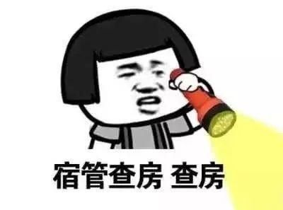  在宿舍实现养狗自由查询当代大学生的精神状态
