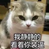  别装了嘴上说自己是见过大风大浪的佛系妈妈,回到家还不是一边带娃一边咆哮