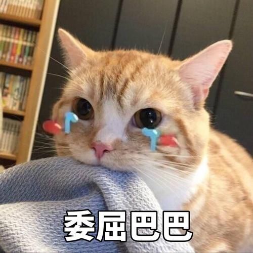  给男朋友道歉的可爱表情包