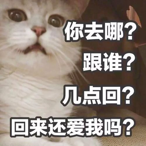  一组神反转的沙雕文案
