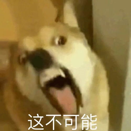  急死人了老外竟然吃不来小龙虾网友给我一张去那里的机票