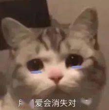  聊天斗图表情包i打爆你的狗头