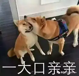  hey这有一封信,别看别人,就是写给你的