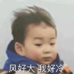  吐槽天气冷的表情包合集请问你是不是想冷死我