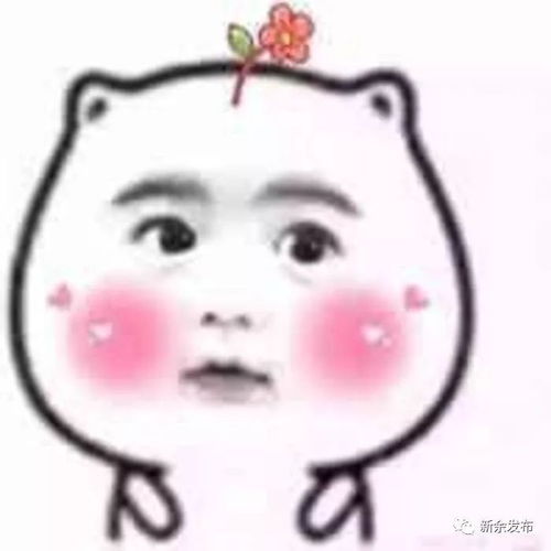  2019,遇见更好的自己