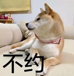  收好了狗年表情包大全有了这些,过年斗图不再怕